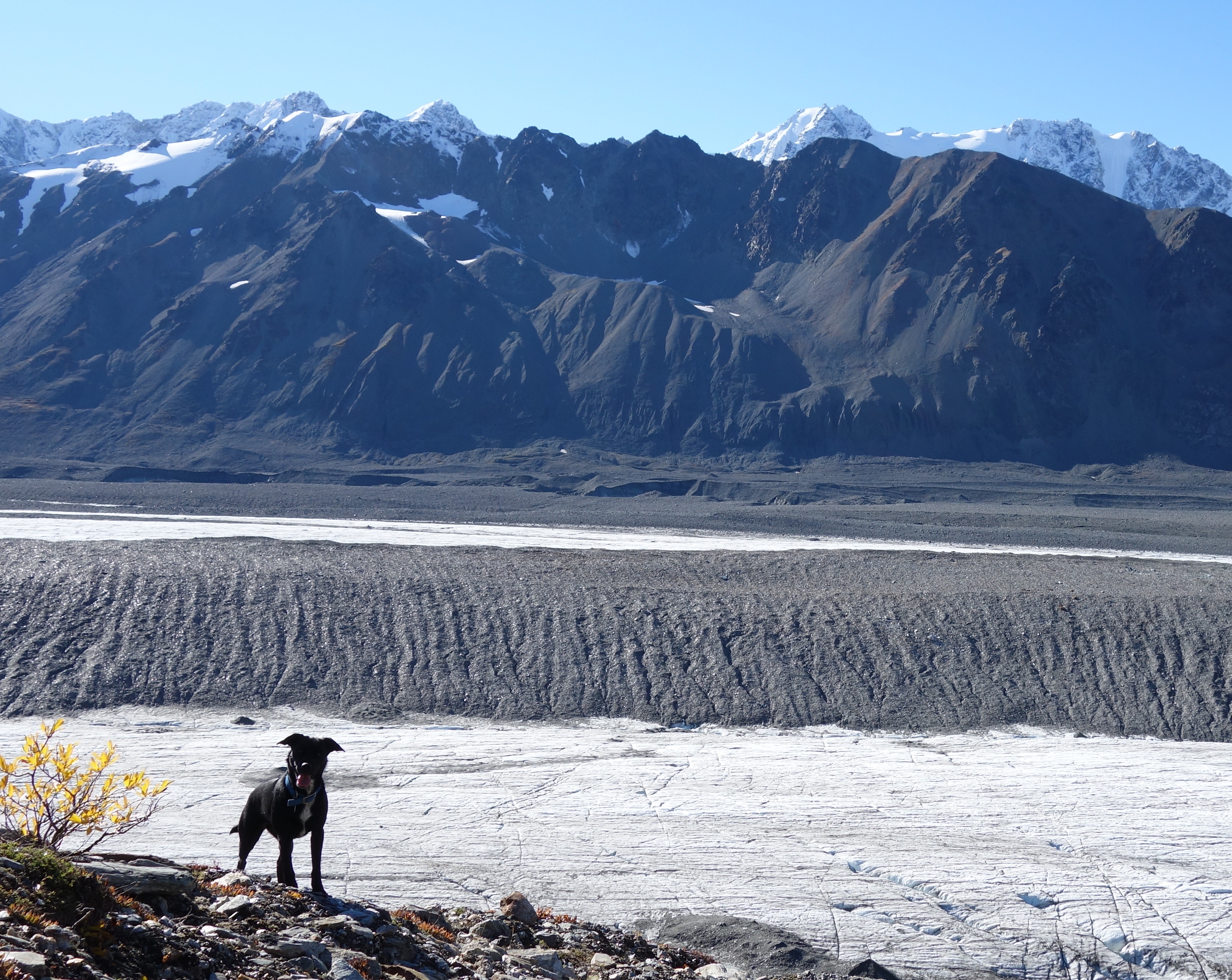 Dirty glaciers all over the world Geophysical Institute
